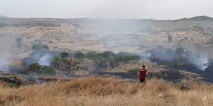 8 dönüm anız ve ağaçlar kül oldu
