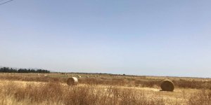 İnönülüler, “Tarım sektöründeki su sorunu çözülmeli, yatırım yapılmalı” diye konuştu.