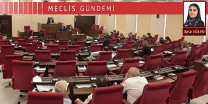 Özgürgün için özel komite