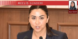 Polis ve asayiş sorunları Meclis’in gündeminde