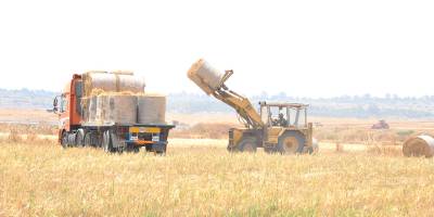 "Covid-19 iş gücü verimliliğini azaltacak"