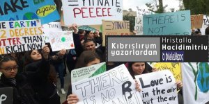 Öğretmenim ağaçları neden kesiyorlar?