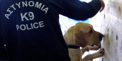 Limasol’da sahte para ve uyuşturucu operasyonu