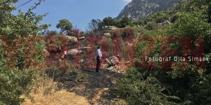 Karşıyaka’da orman yangını: 5 dönüm kül oldu