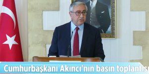 "Cumhurbaşkanı bostan korkuluğu değil"