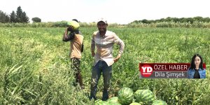 “Yerli üretim varken, karpuz ithal ettiler