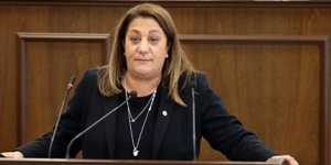 Manavoğlu: Özel komite kurulmasını reddedenler vatan haini