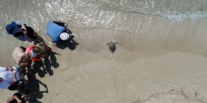 'Pisgot' denizle buluştu