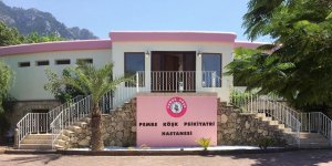 Pembe Köşk Psikiyatri Hastanesi açıldı