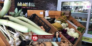 “Her şey tamamen organik”