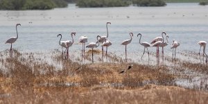 Köprülü köyünde gizli cennet…