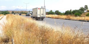 Kuru otlar temizleniyor