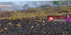 150 dönüm cayır cayır