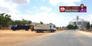 Arpaların yerleri dert oldu