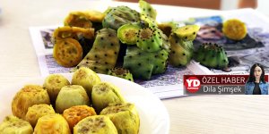 “Böyle giderse  babutsa biter”