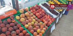 Çeşitlilik de fiyatlar da arttı