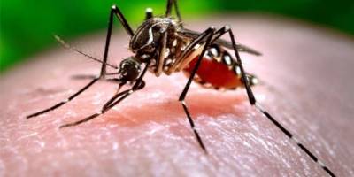 Sağlık Bakanlığı: "2 hastanın bilinci kapalı"