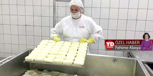 'Hellimde ihracat' gerçeği