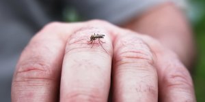 “50 yaş üstü risk altında”