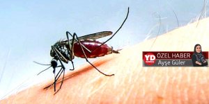 Hastaların çoğu  İskele ve Mağusa’dan