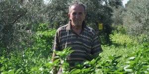 Kültürümüzün bir parçası: Molehiya