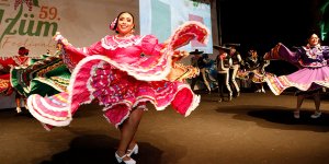 Mehmetçik Üzüm Festivali açıldı...