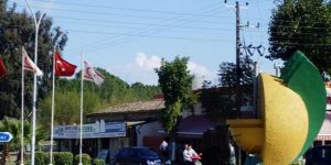 Güzelyurtlu kamyoncular, vekilleri toplantıya çağırdı