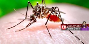 “Bir kişinin şuuru açıldı, üç kişi taburcu oldu,  yeni hasta yok”