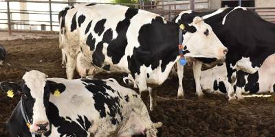 AB et vergisini tartışıyor