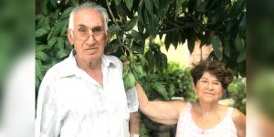 Mango ve kivi üretiyorlar