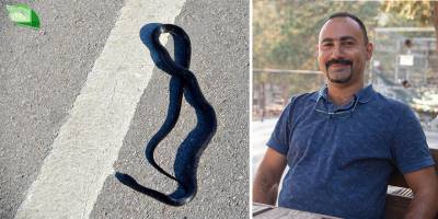 YABAN HAYAT ÜZERİNE BİR RÖPORTAJ Nazım Kaşot