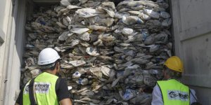 Sahillerden 650 kilo çöp topladılar