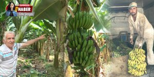 Muz üreticisi de DESTEK istedi