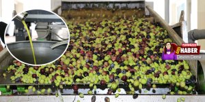 Bakanlar Kurulu’dan  ‘zeytinyağı ithali’ne izin