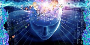 Felsefeden beklenen ve felsefenin istediği