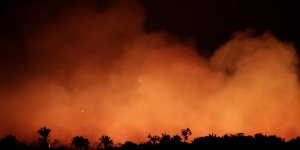 Dünyanın akciğerleri yanıyor