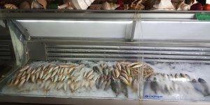 Hayvancılık Dairesi, Güzelyurt ve İskele'de denetimler yaptı