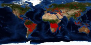 Sadece Amazon Ormanları yanmıyor!