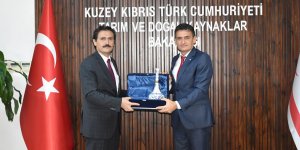 Göletler, yeraltı suları ve dere yatakları mercek altında