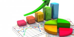 “Hanehalkı İşgücü Anketi” anketi yapılacak