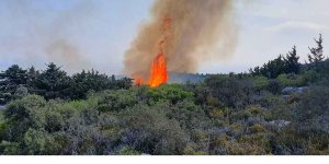 Yangın kontrol altında