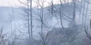 Karzaoğlu: "Bazı haberler yanlış, yangın bir saat içinde kontrol altına alındı"