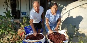 HOŞAF VE KURU ÜZÜM YAPIMI