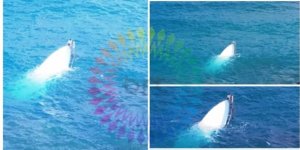 Mülteci taşıdığını düşünülüyor