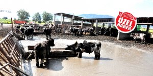 Gönendereliler ‘nefes alacakları’ günü bekliyor