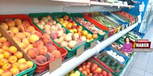 8 ayda 30 denetim;  1819 numune, 125 fire