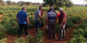 Tarım Dairesi, eğitim çalışmalarına Paşaköy'de devam edecek