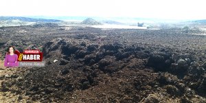 Lefkoşa’yı saran kokunun peşine düştük