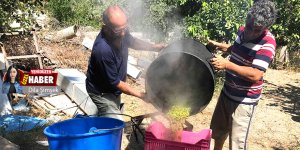 Zeytin hasadı başladı: Rekolte ve talep çok yüksek