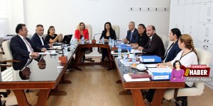 Dokunulmazlık için  referandum sinyali